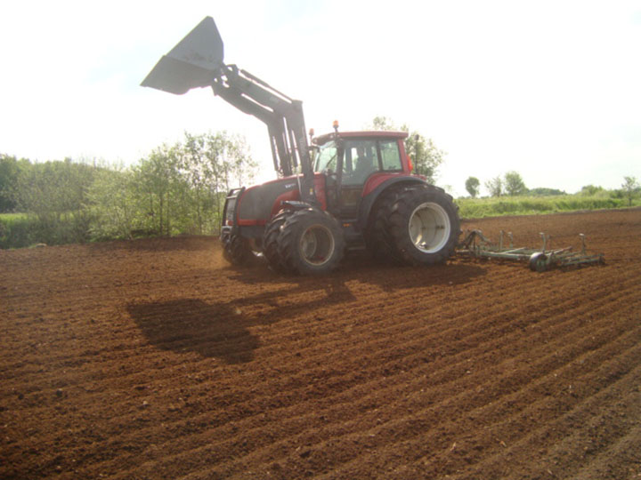 Harrowing the marsh