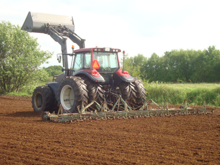 Harrowing the marsh