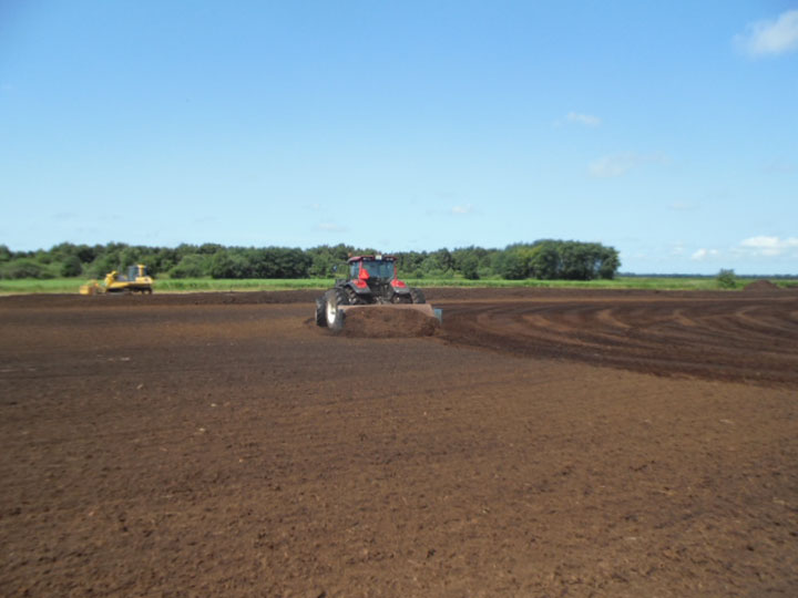 Scraping the marsh