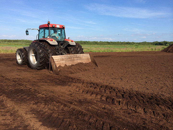 Scraping the marsh