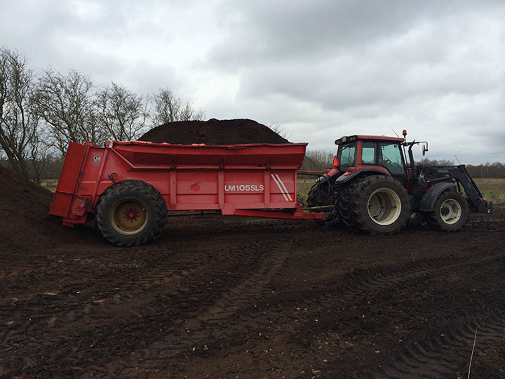 Sphagnum getting transported